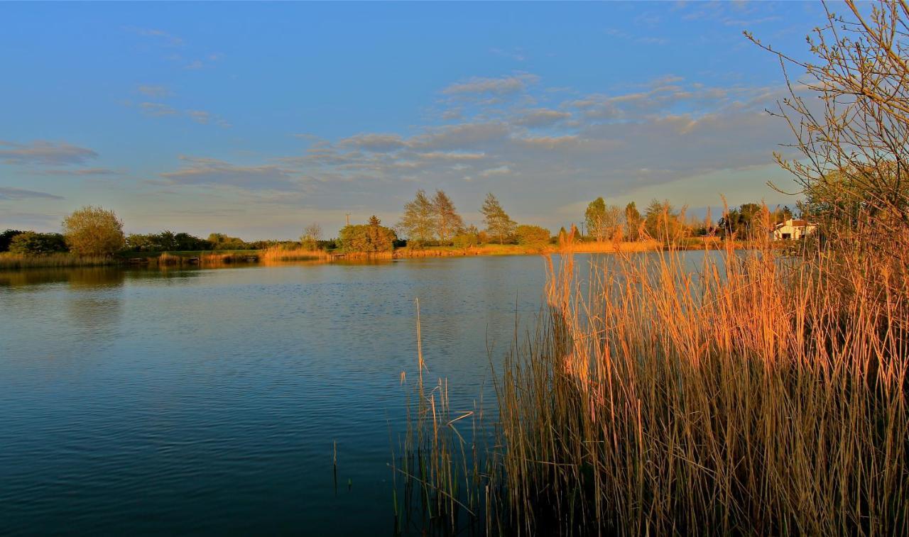 Fields End Lodges Doddington  Exteriör bild